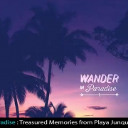Wander-in-Paradise