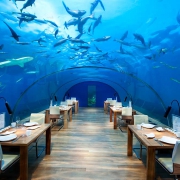 Malediven Reiseinfos Conrad-Maldives-Ithaa-Undersea-Restaurant