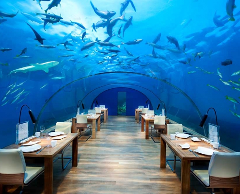 Malediven Reiseinfos Conrad-Maldives-Ithaa-Undersea-Restaurant