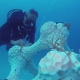 Korallenriff aus dem 3D Drucker 3-D Printed Reef