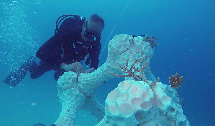 Maldives: artificial 3D printed coral reef